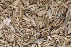 biomass boilers Lupset